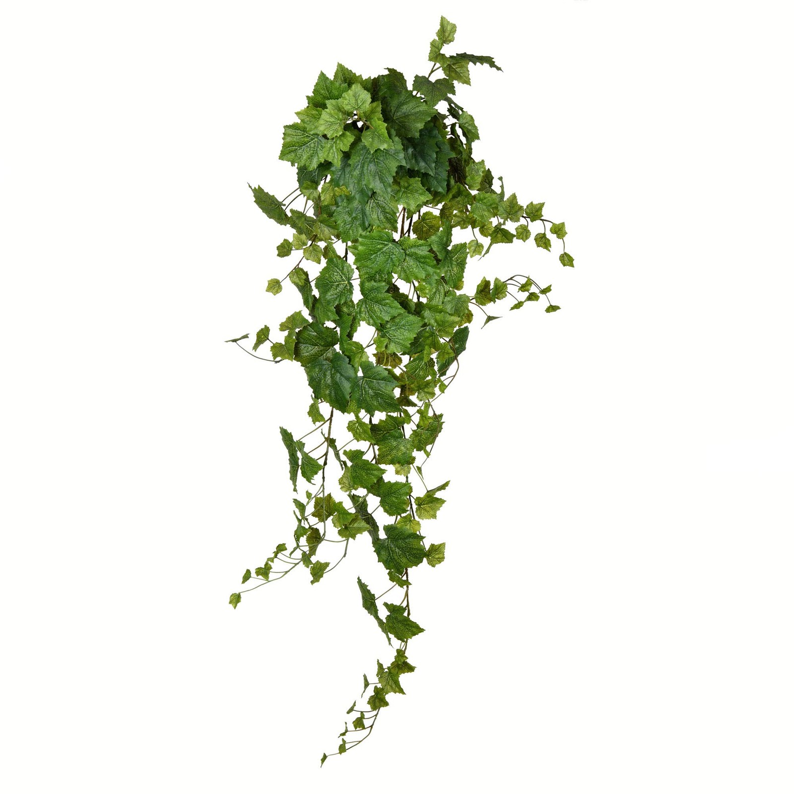 Vickerman 51″ Fabric Artificial Grape Leaf Ivy Hanging Bush in Green