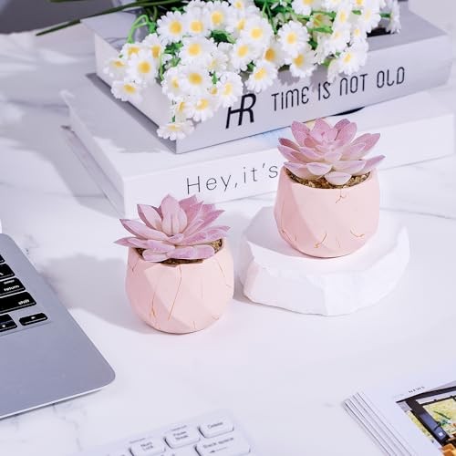 Artificial Succulent Plants in 2 Ceramic Pots, Cute Fake Plants for Vanity Pink