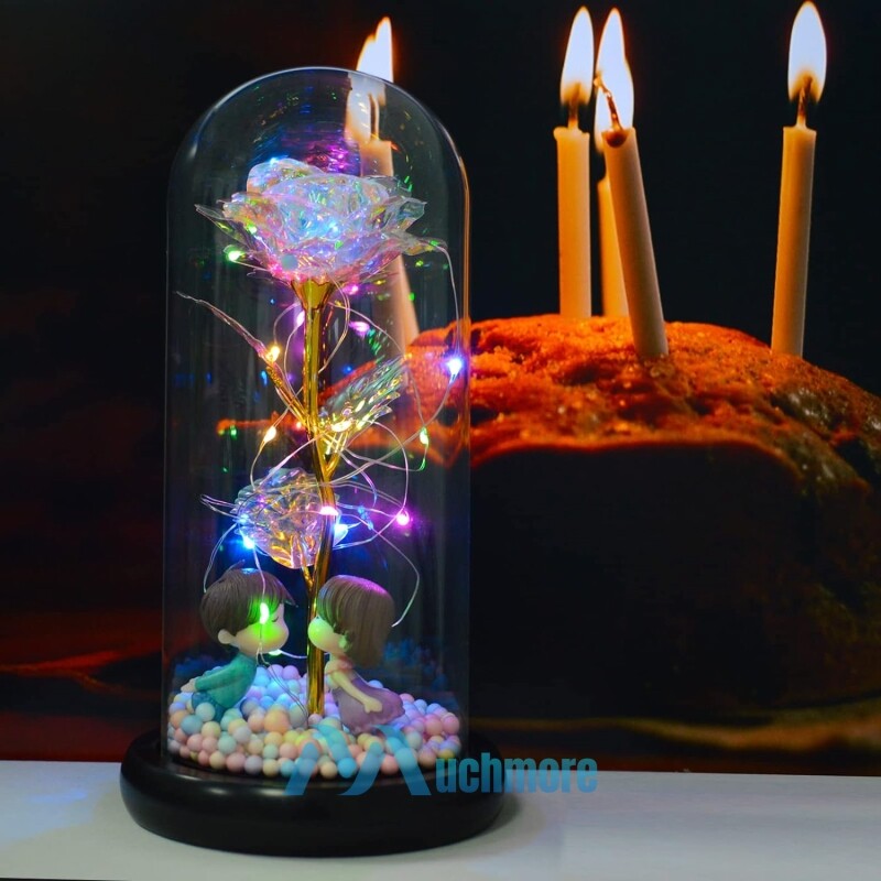 Rose Flower In Glass with LED Light Gifts For Her Valentine Girlfriend Birthday