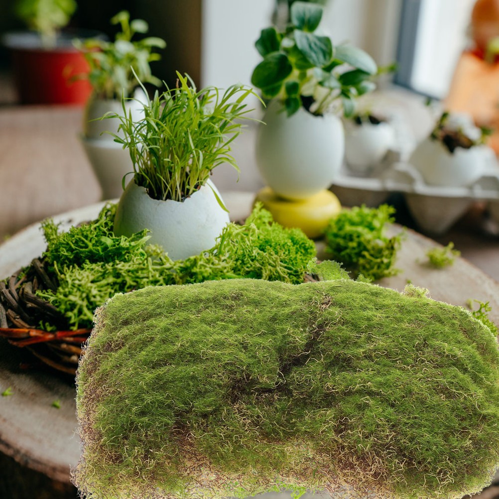 Pack of 5 Reusable Artificial Moss Grass Green for DIY Mini Garden