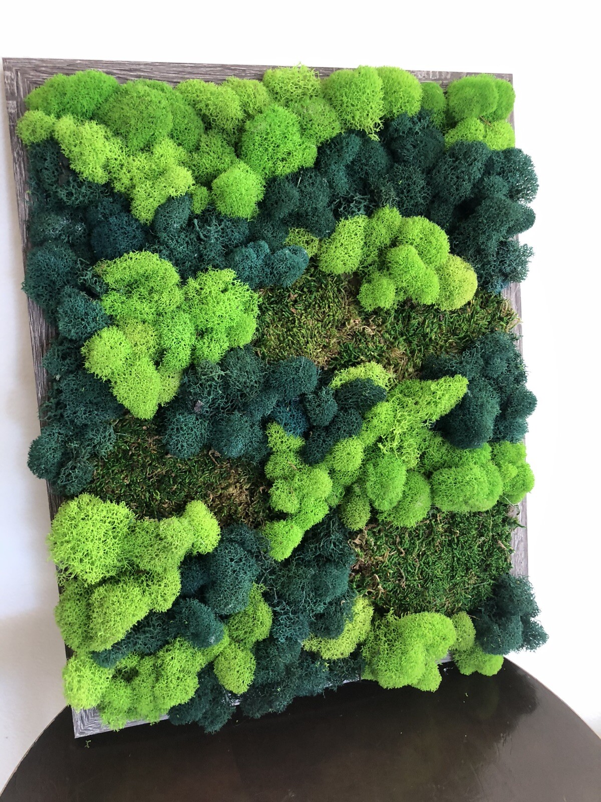 Moss Wall Art 11 X 14 3 Options