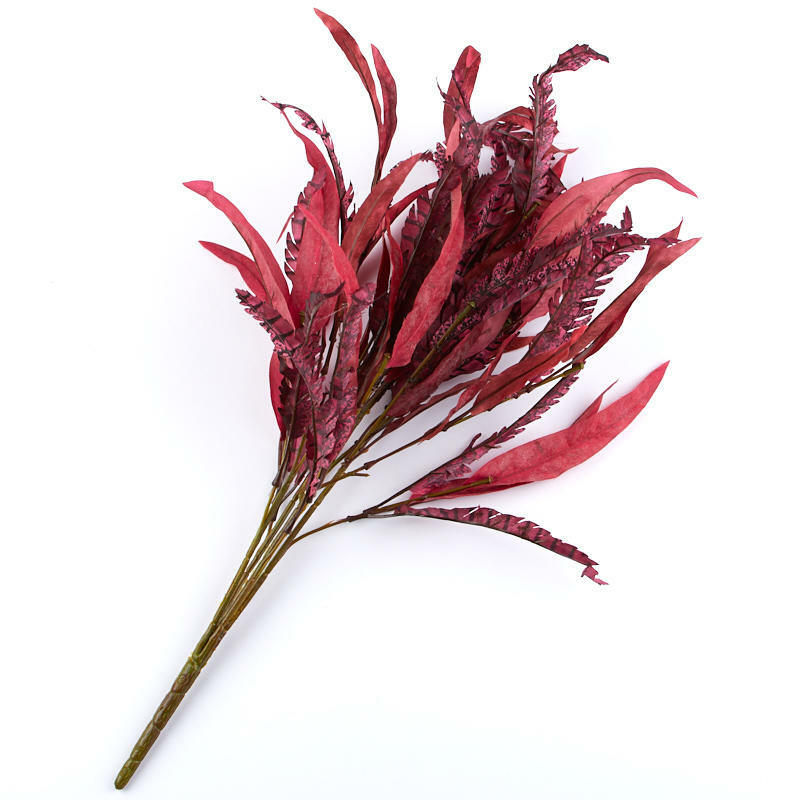 Red and Purple Feather Bush