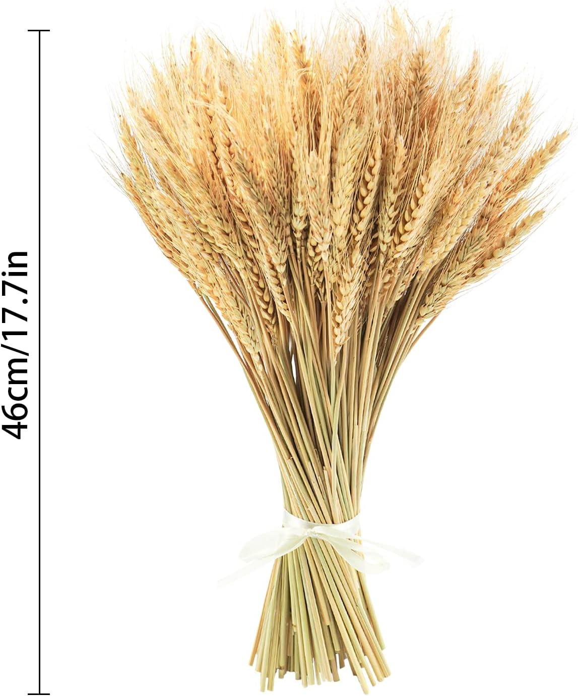 17.7″” Dried Wheat Stalks 300 Stems Natural Wheat for Wedding Table Centerpiece