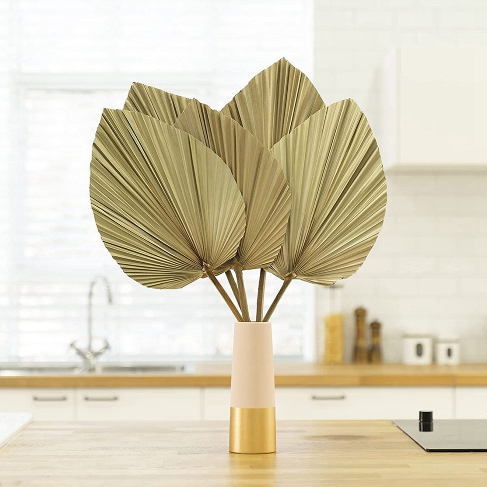 Dried Palm Leaves Room Decor 10 Pieces – 18Inch H X 10Inch W Natural Palm5715