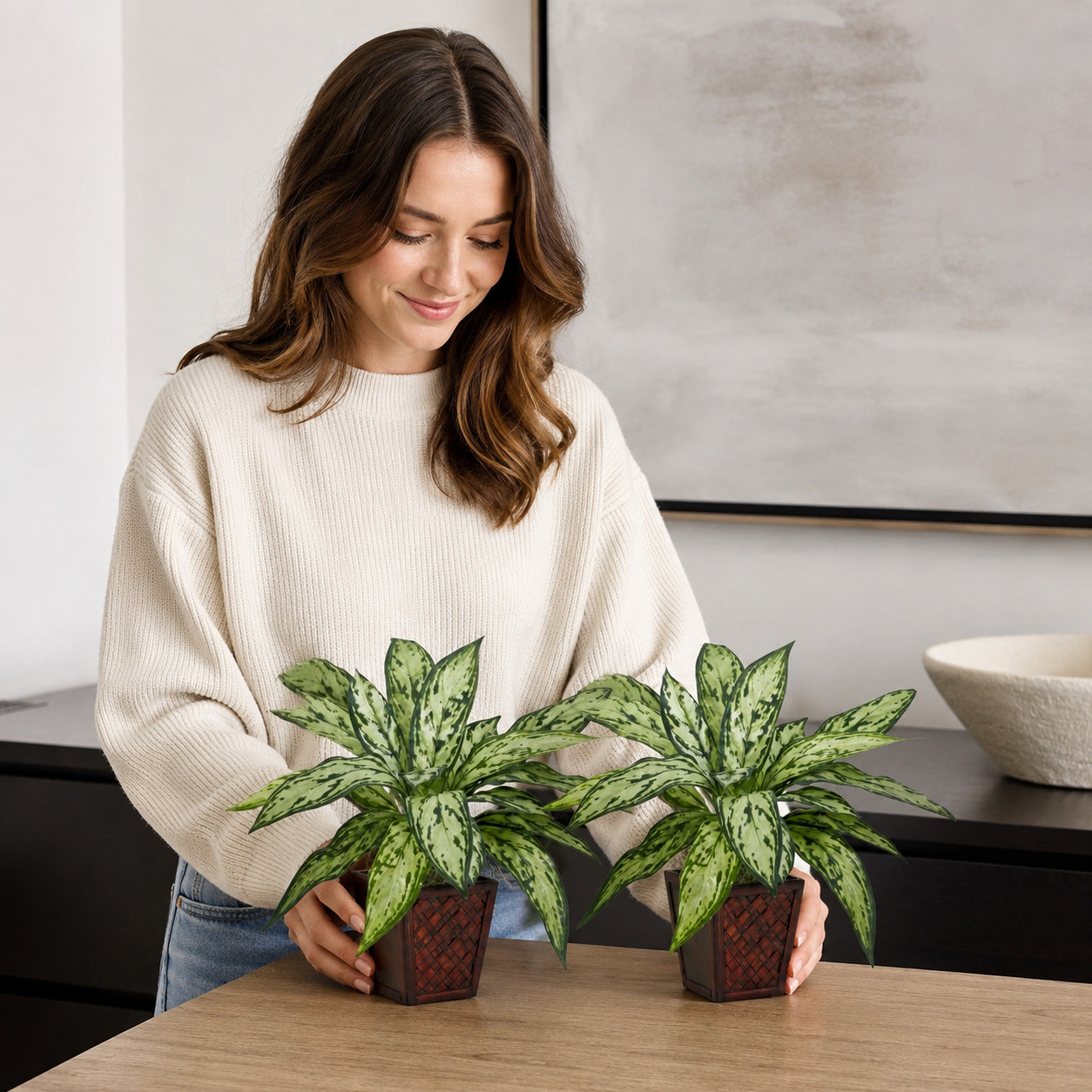 Silver Queen Silk Plant (Set of 2)