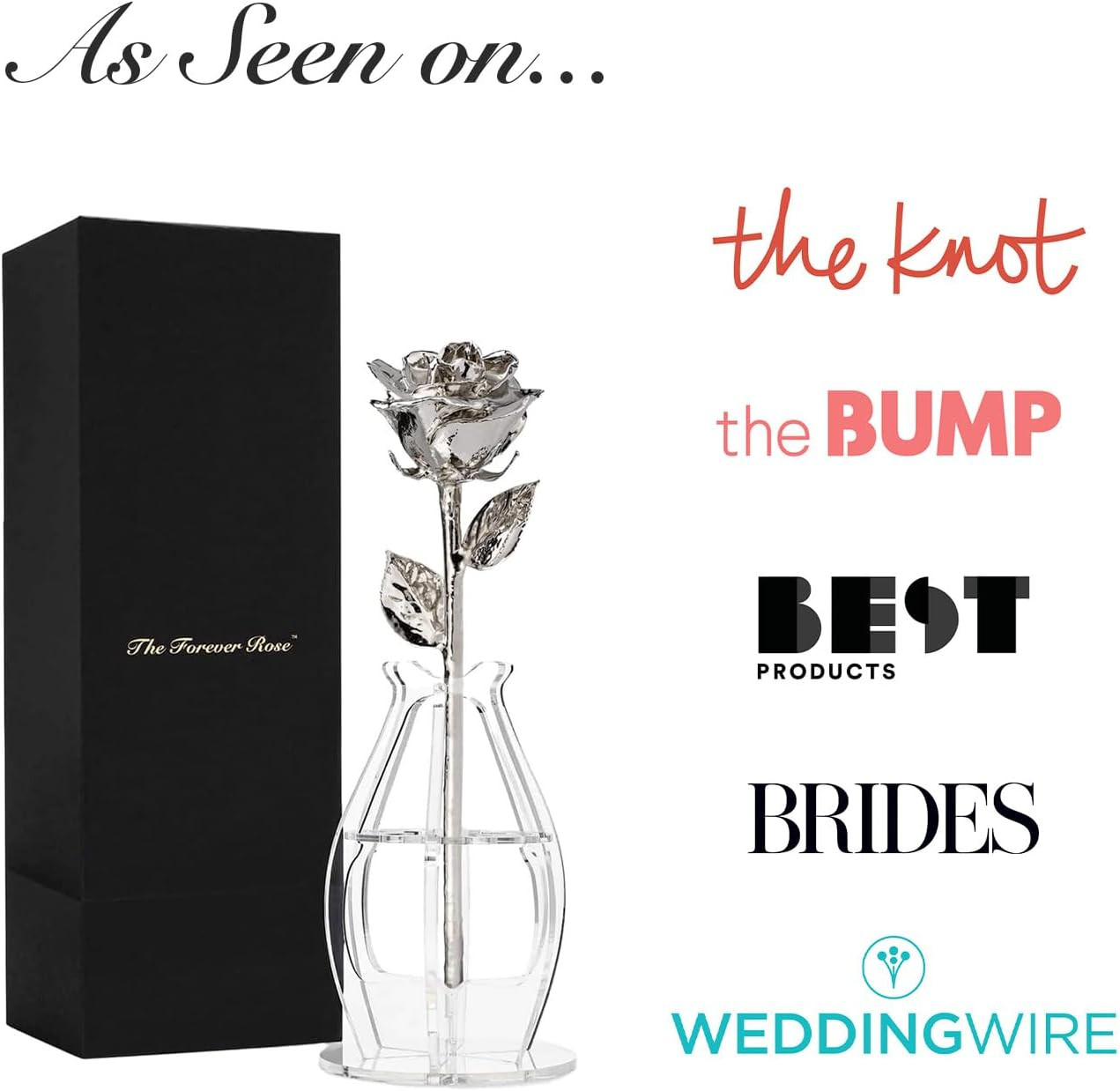 Hand Dipped Silver Rose & Phantom Vase | Unique Valentine’s Gift Bundle