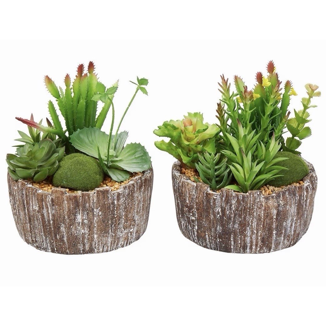 Pure Garden Set of 2 Faux Succulents in Concrete Planters 50-LG1146 8in Tall