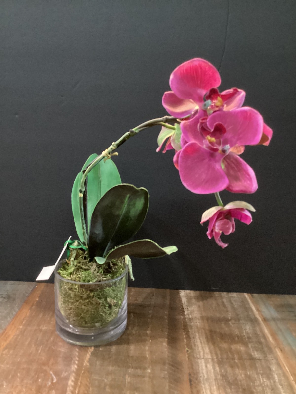 Realistic Artificial phalaenopsis Orchid plant in clear glass vase w/green moss