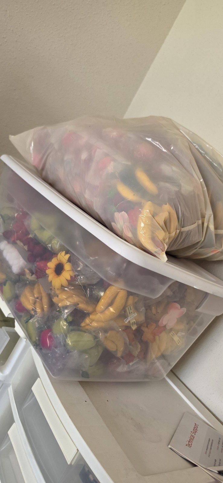 stuffed Fabric Fruits Assortment and Maple velvet Leaves, Multicolor.