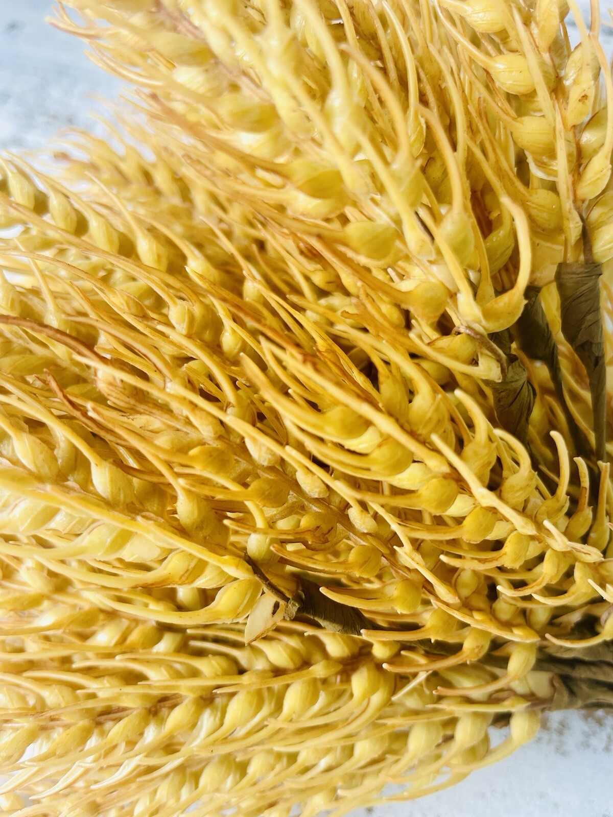 Fall Harvest Wheat Sheaf