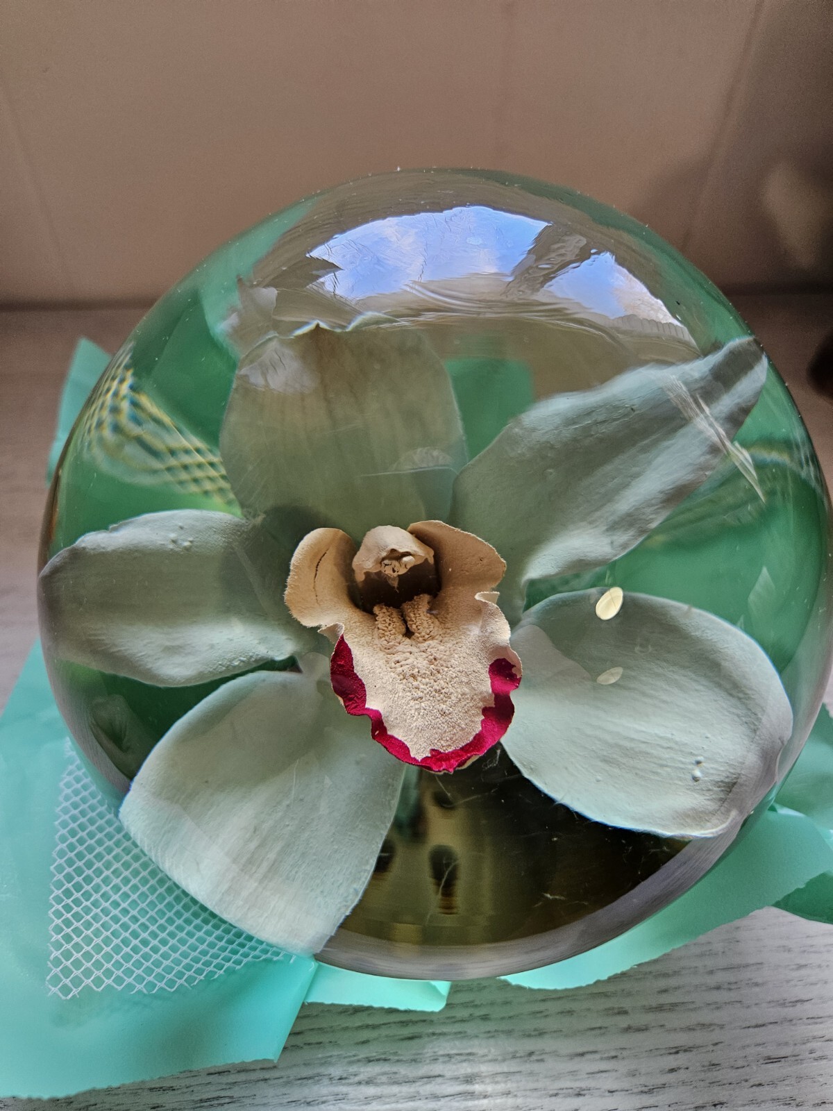 Bill Doran Mexico ORCHID Flower Globe Preserved Decor 7″ Teal Green Clear Gorg!!