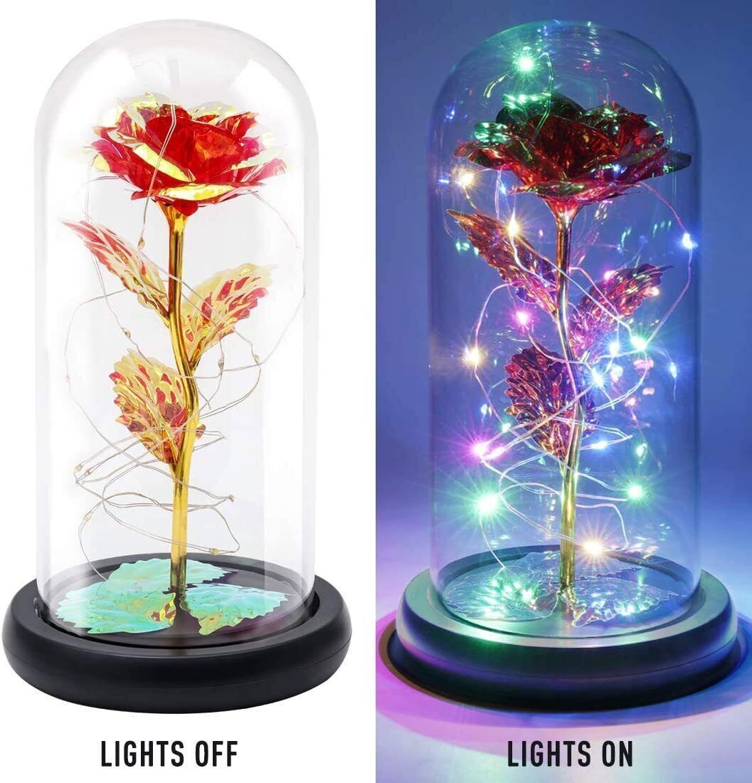 Romantic Rose Flower In Dome Glass LED Night Light Anniversaries Valentines Gift