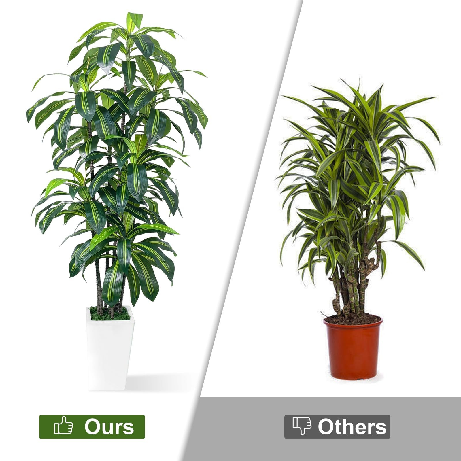 7FT Artificial Dracaena Tree – Tall Fake Plant with White Planter for Home Decor