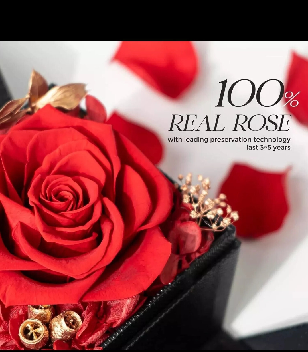 Real Preserved Red Rose with Necklace Auto LED Light Fathers day Gift For him!
