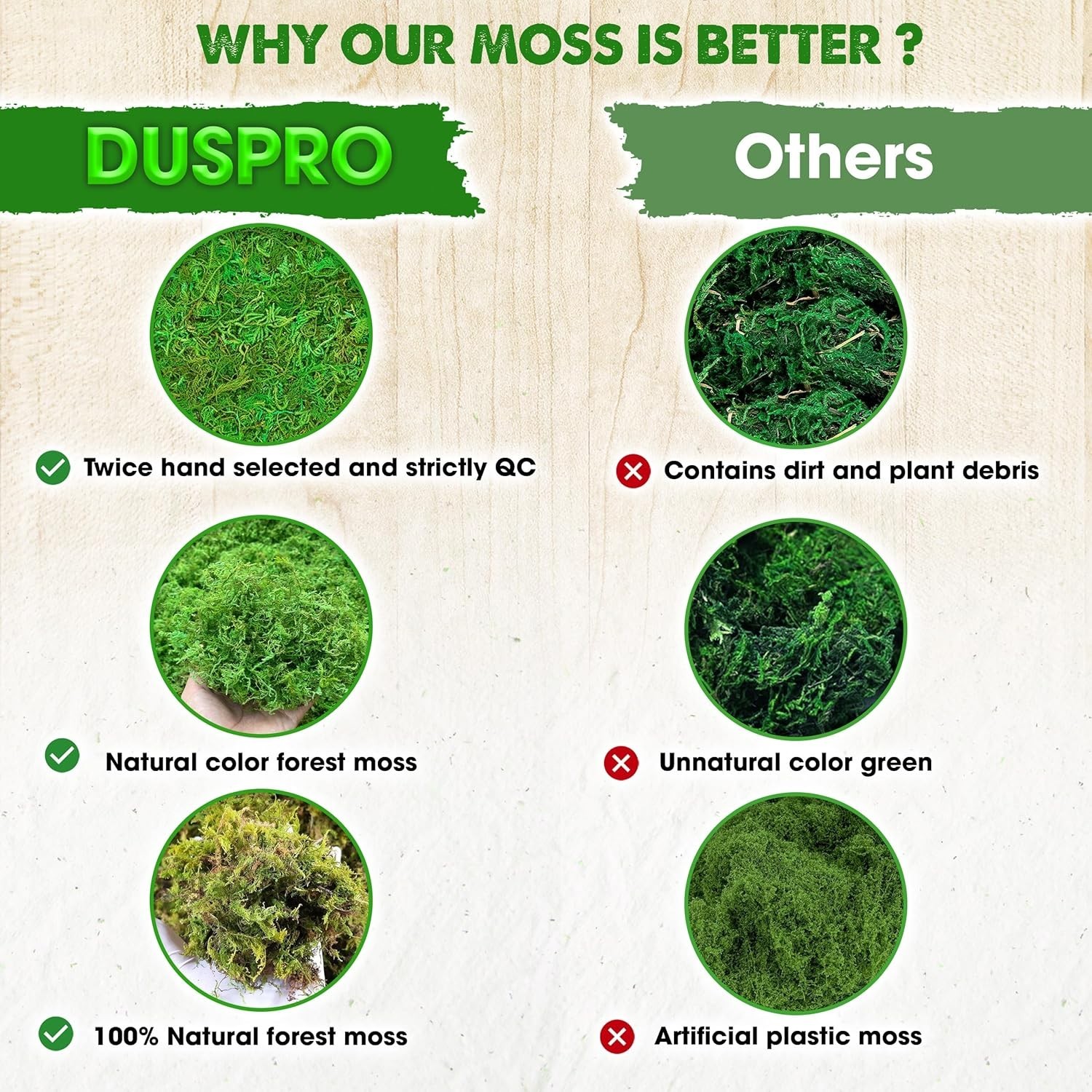 Natural Decorative Moss 2 oz – Perfect for Weddings, Christmas & Easter Decor