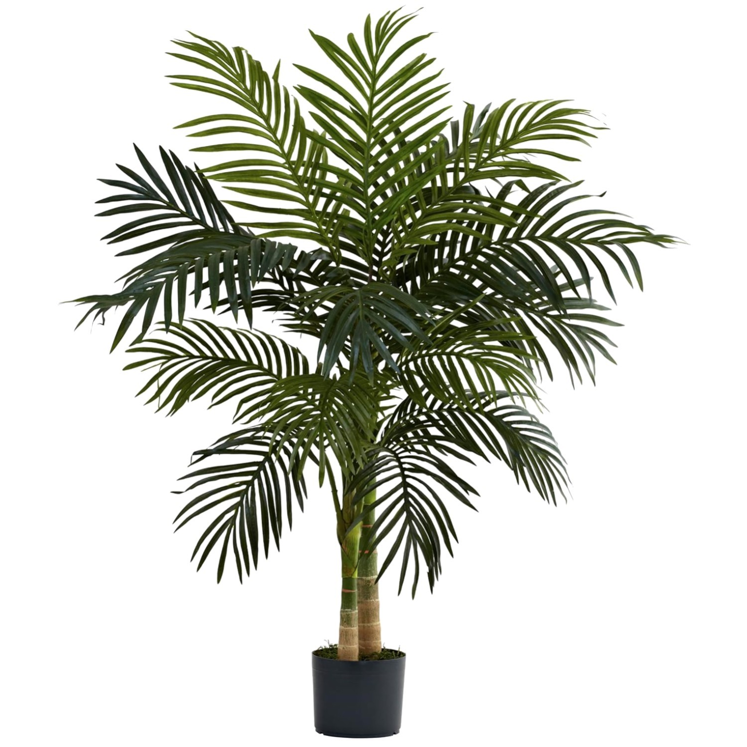 Double Stalk Artificial Palm Tree – Easy Setup, Faux Plant