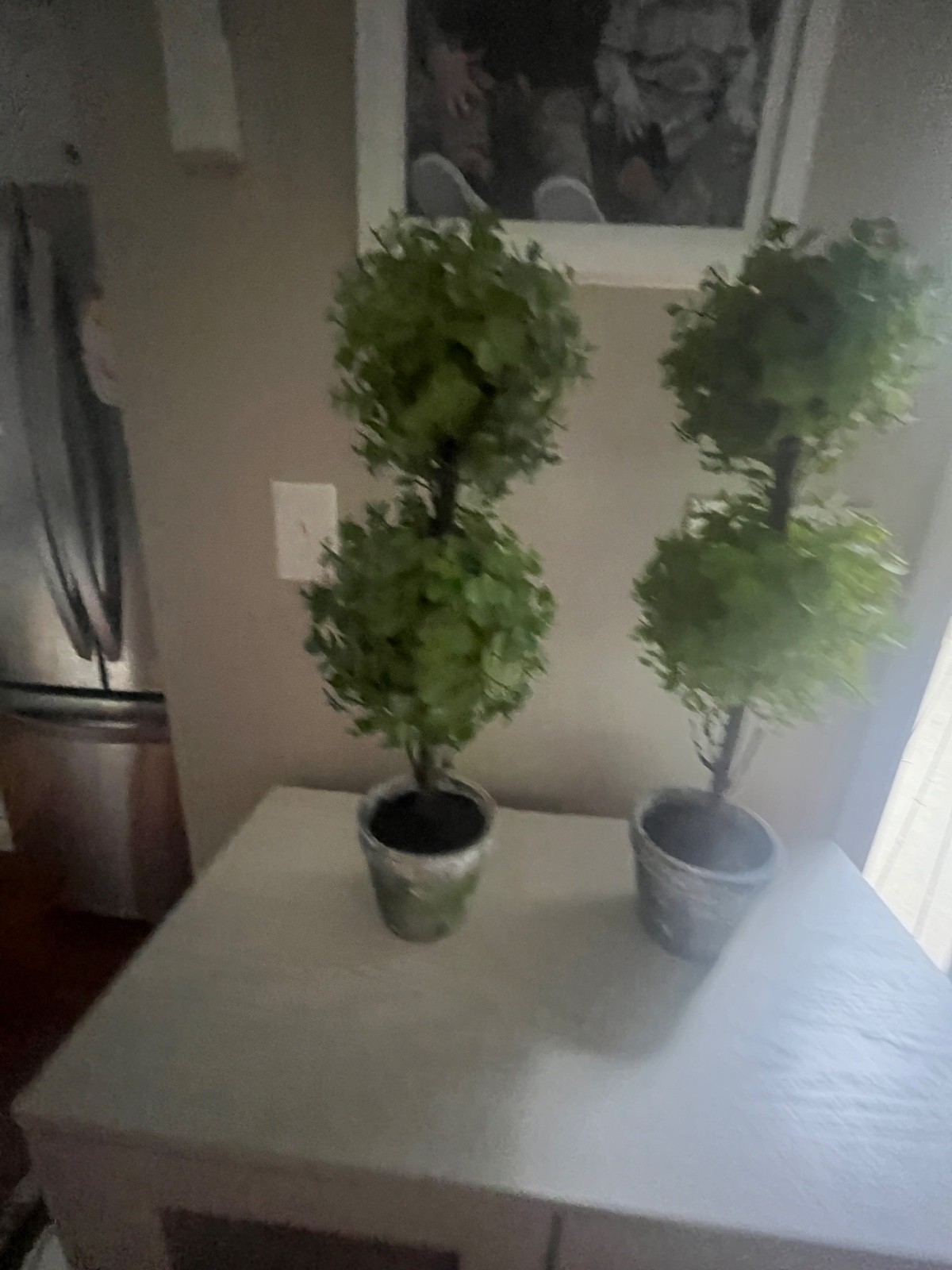 Faux boxwood topiary trees Set of 2, 23 inches in height