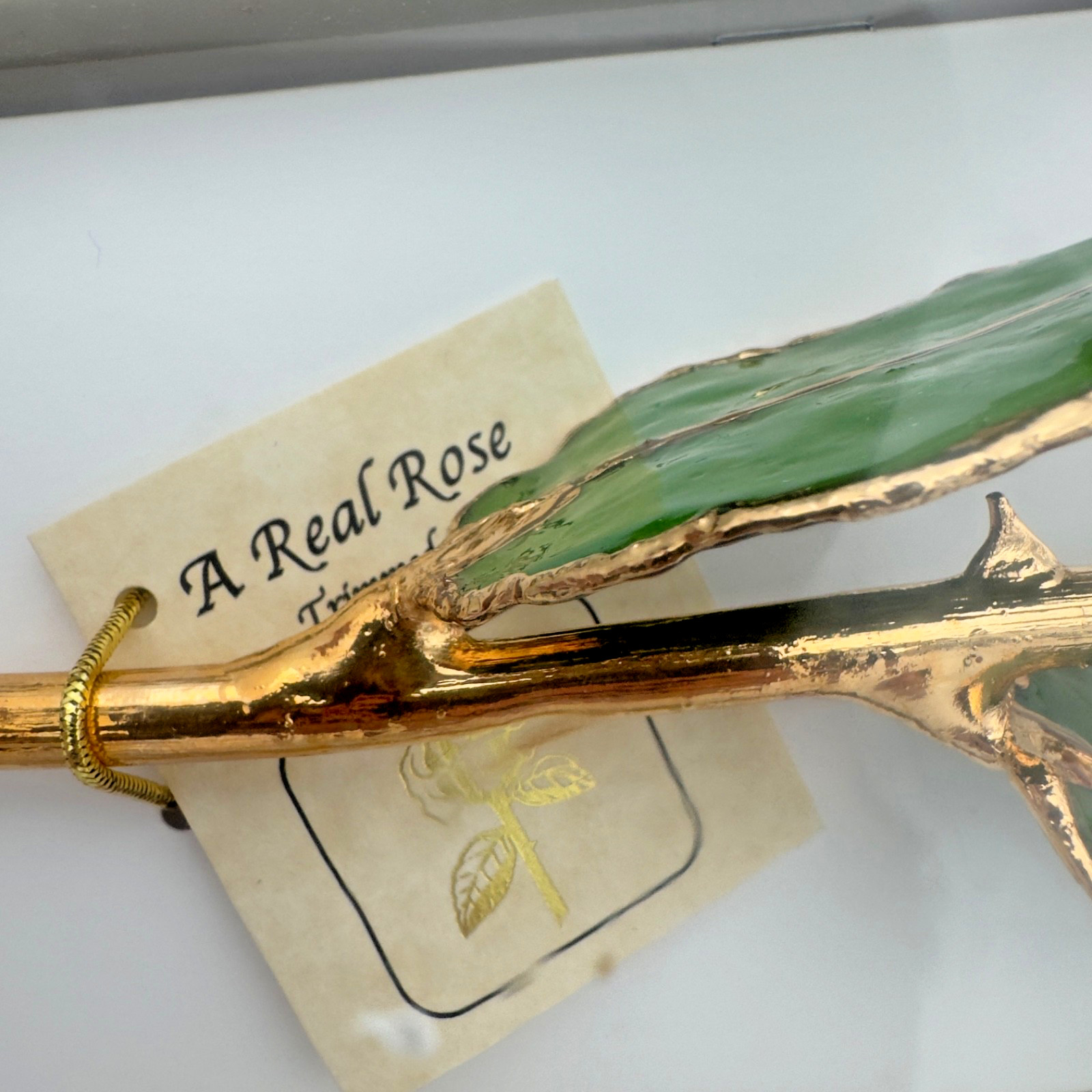 24K gold Dipped REAL Rose “Sunset” pink & orange The Original Since 1981