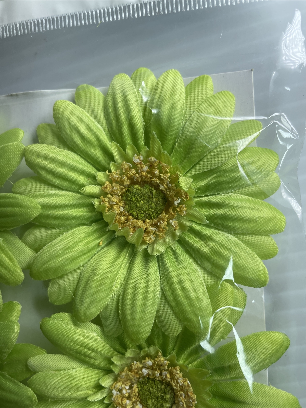 Set of 2 Packs of Green Daisy Floral Accent Decoration Ashland 3″ each