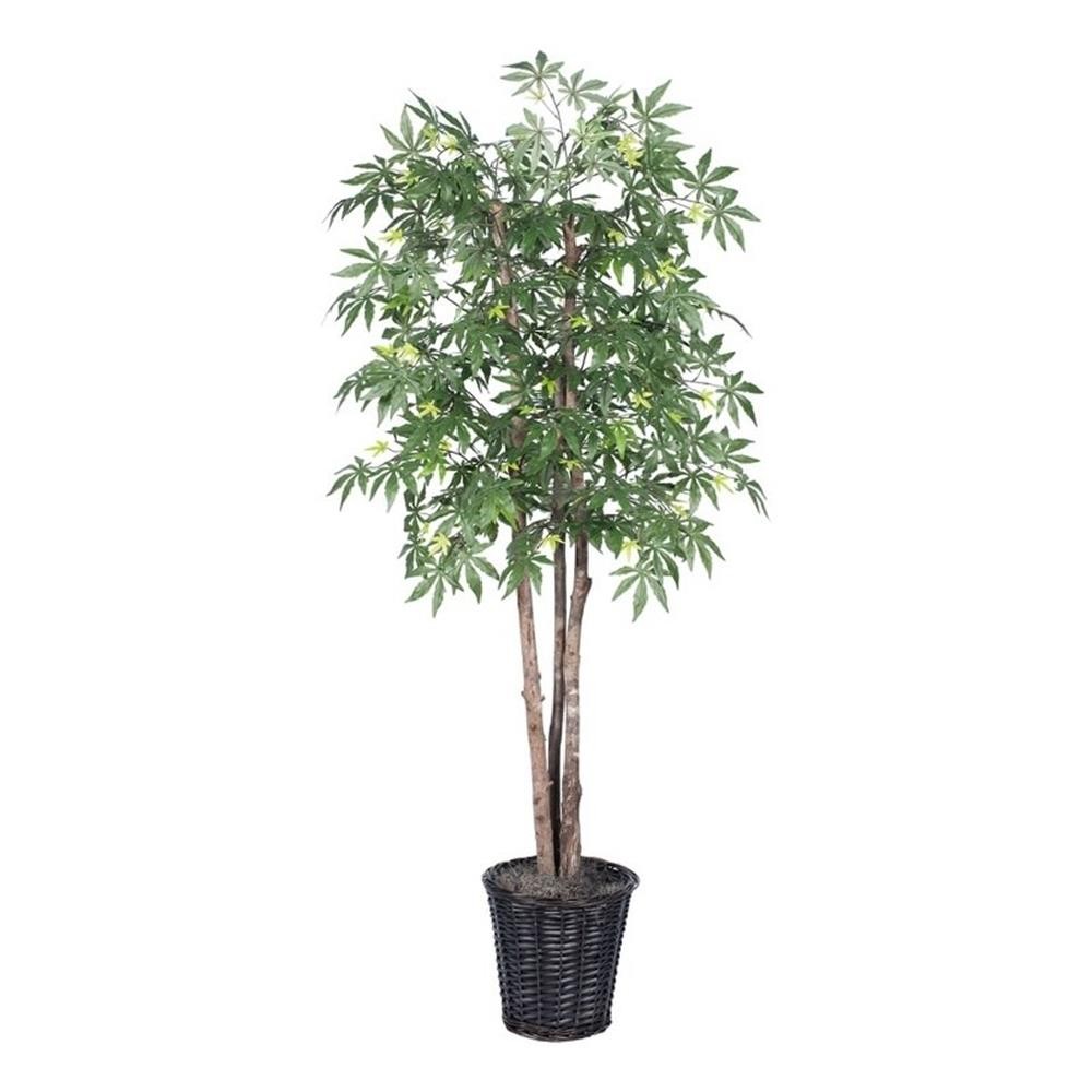 Vickerman 6′ Artificial Japanese Maple Deluxe Tree with Rattan Basket in Green