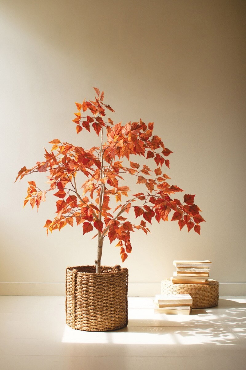 Artificial Autumn Birch Tree In Black Plastic Pot Designed For Home Display