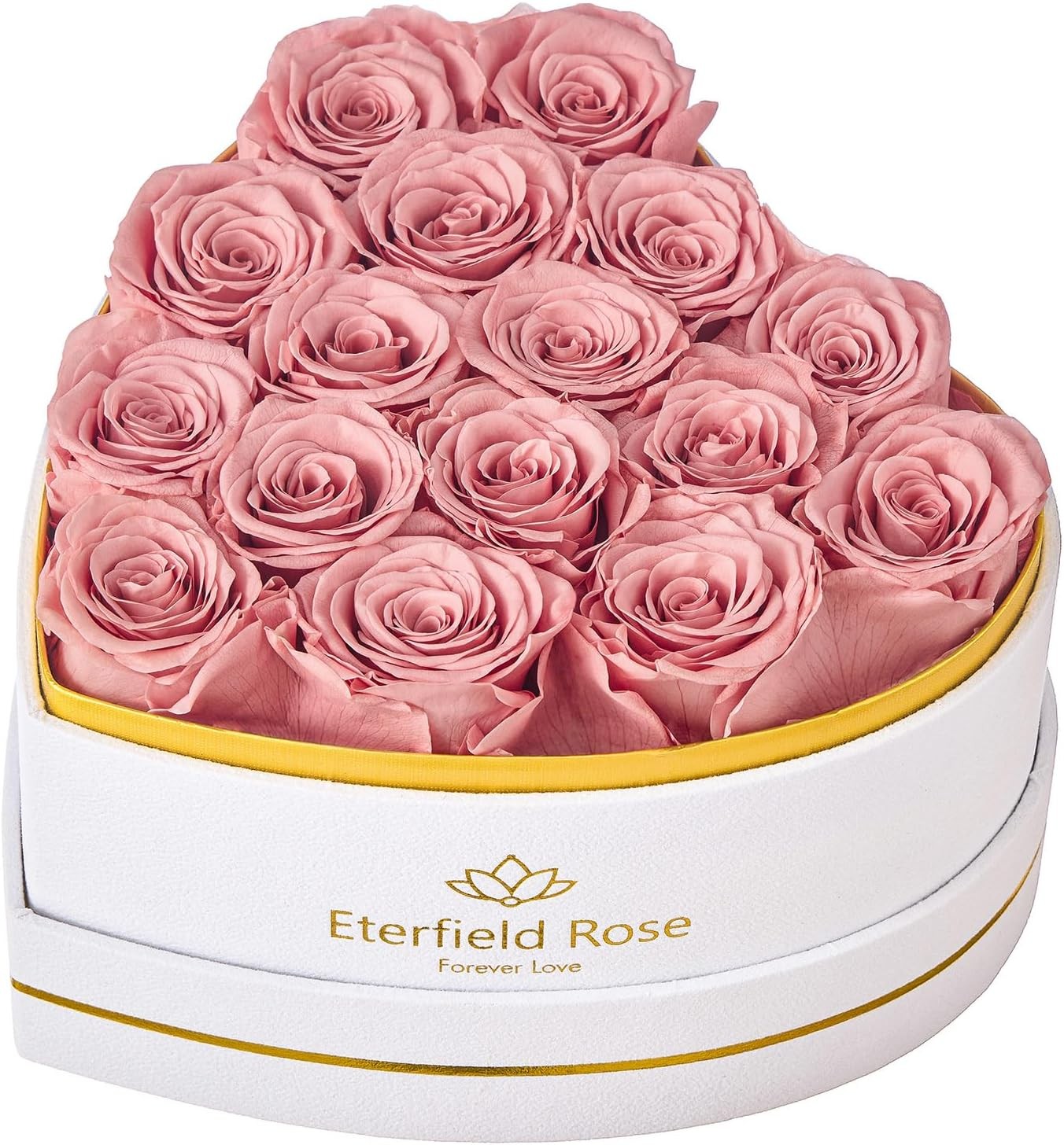 Eterfield 16 Forever Flowers in Heart Shape Box, Preserved Roses That Last a Yea