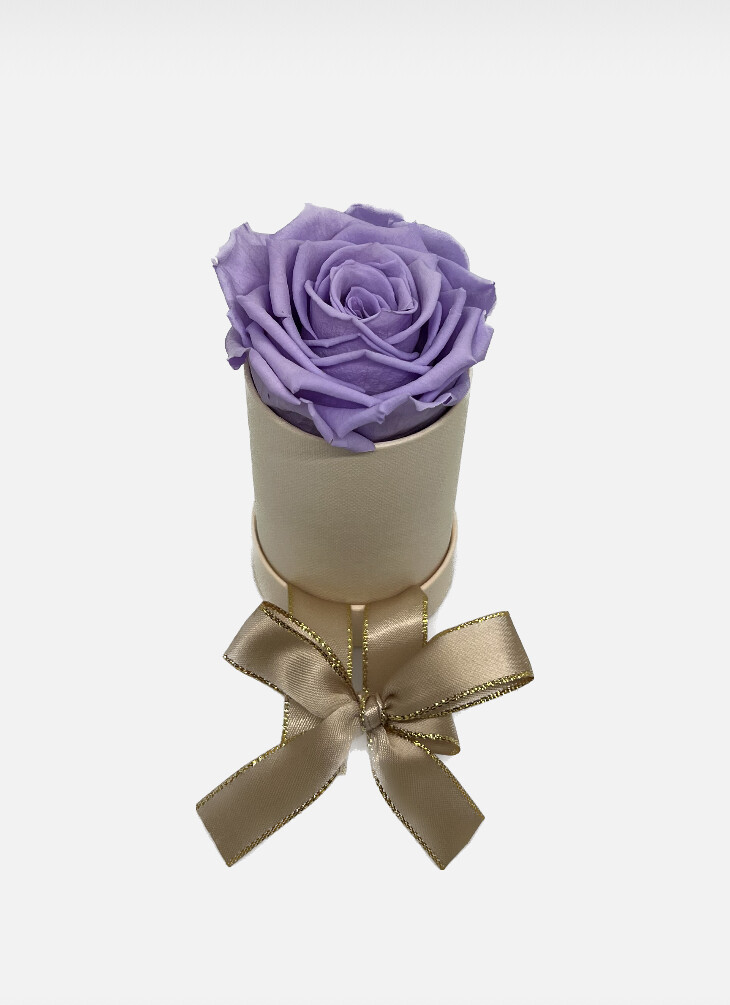 Preserved Rose in Gift box | High Quality Preserved Rose from Ecuador