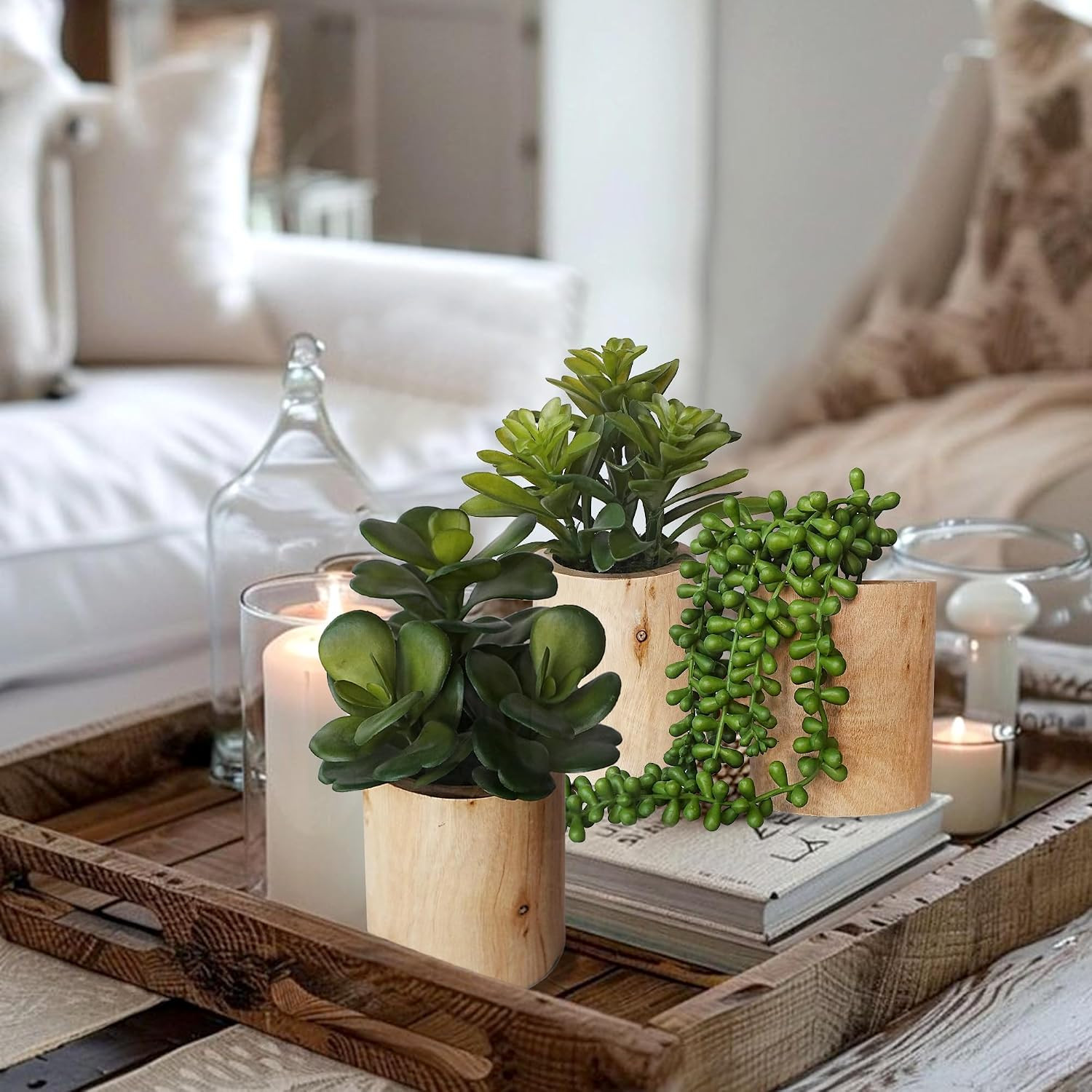 Set of 3 Artificial Succulents in Wooden Pots for Home & Office Decor