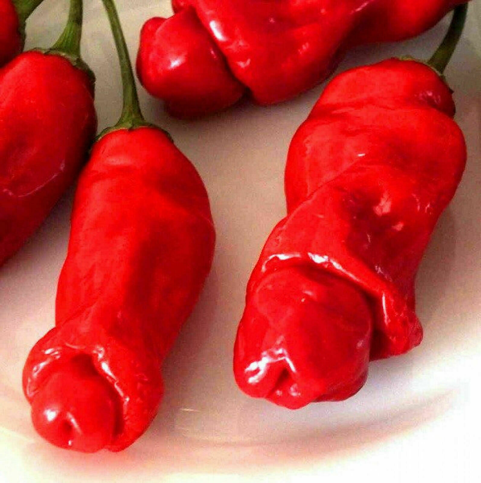 100Pcs SE EDS Peter Pepper Heirloom Hot pepper NON GMO Se eds