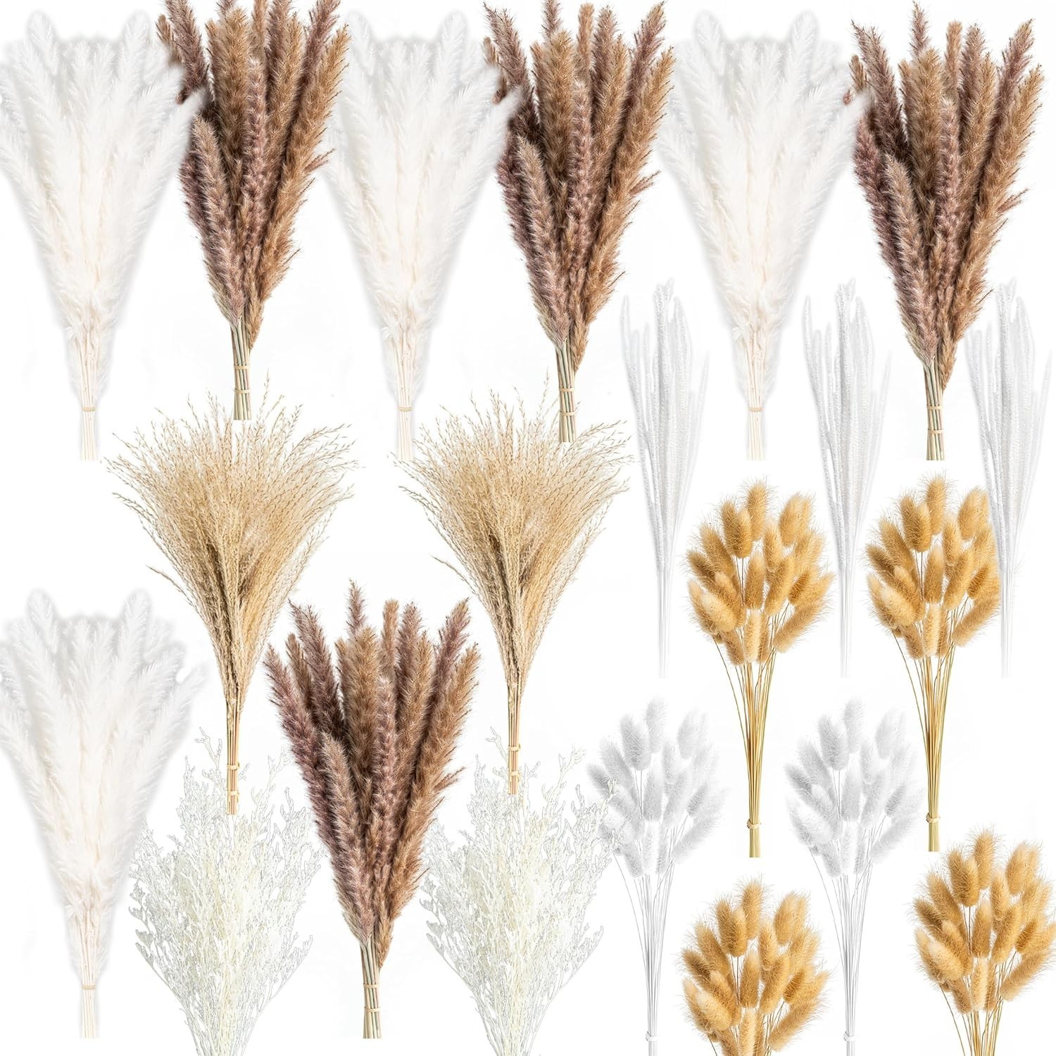 Sustainable Dried Pampas Grass Mix – 440 Count
