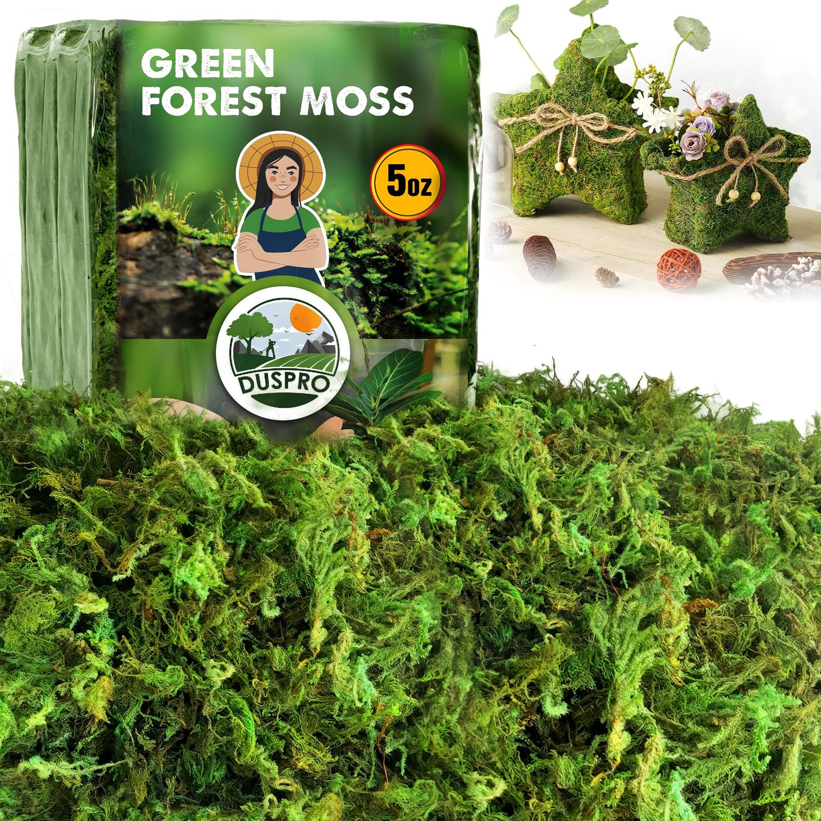 [Upgraded] Green Moss for Crafts, Real Forest Moss Potted Plants, Decorative …