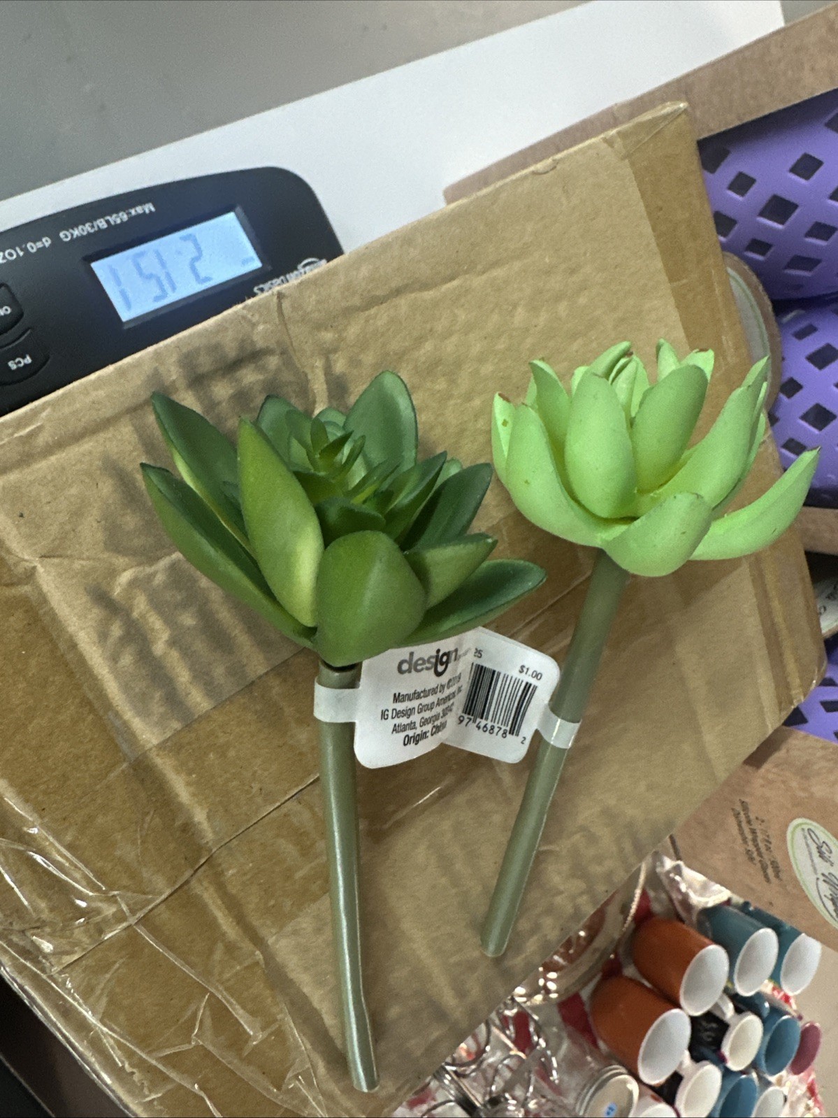 Kroger Company, Design Group Fake Succulents 24 Count￼