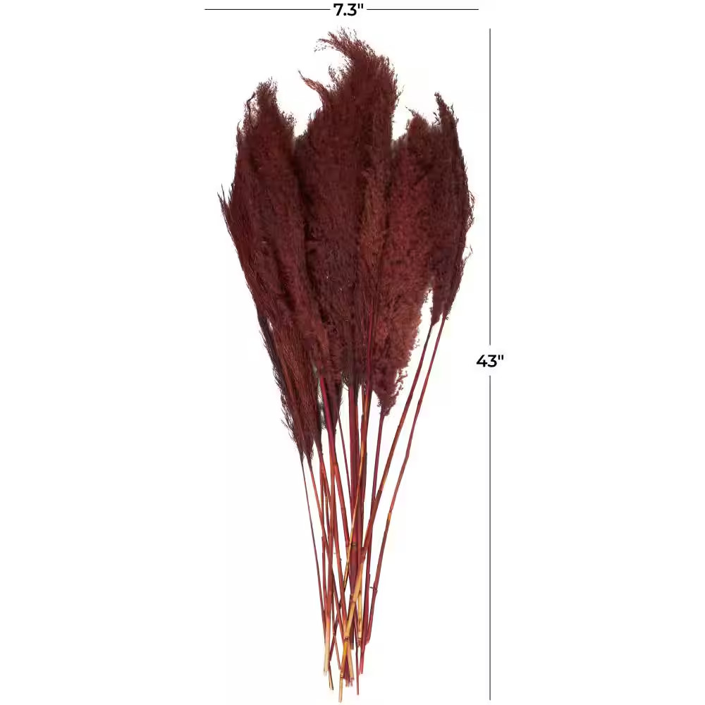 43 In. Pampas Grass Natural Foliage with Long Stems (1 Bundle)