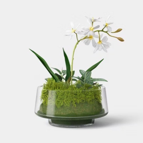 Orchid Glass Terrarium – Threshold