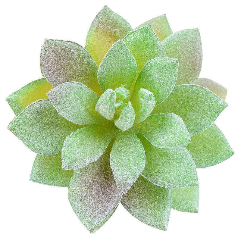 12pc Mixed Artificial Succulents Plant Fake Plants Garden Home Office Decoration