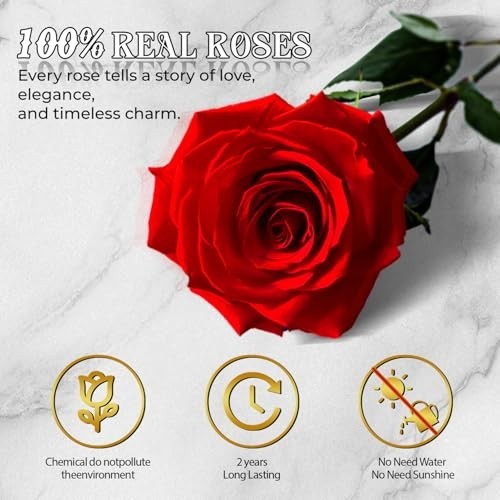 Preserved Roses 50 Piece Heart Box Real Flower Gift for Her Birthday Home Decor