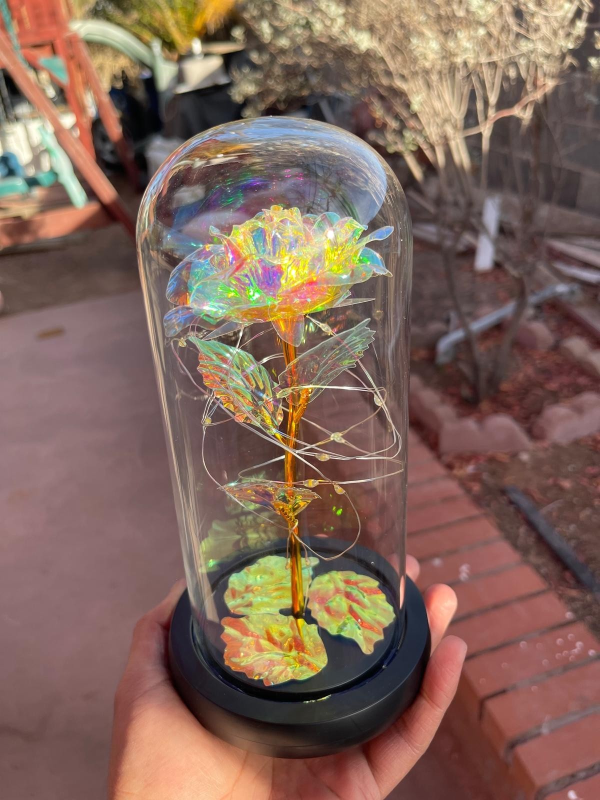 Eternal rose in a transparent dome with LED light. Valentine’s Day Gift