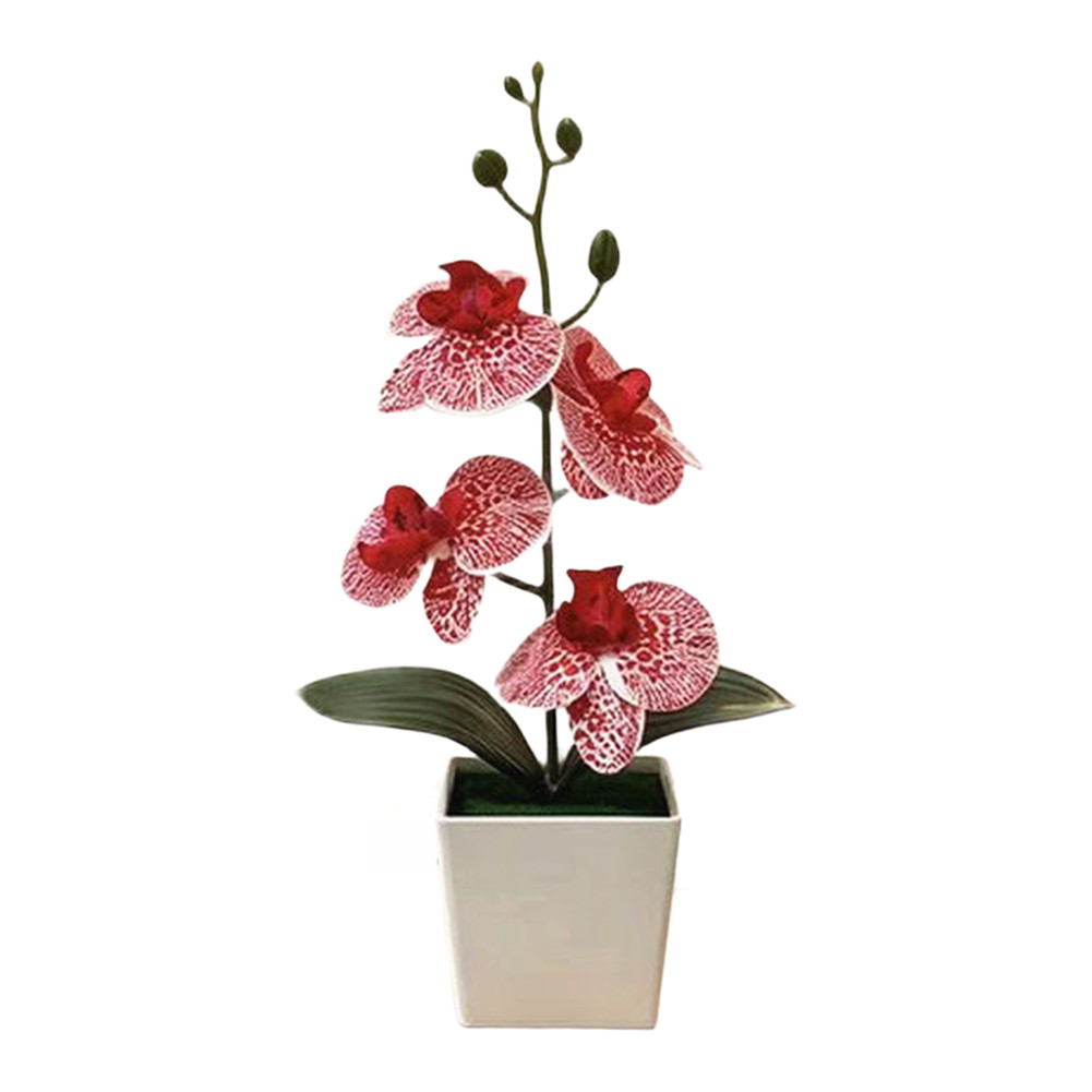 4-Bloom Faux Phalaenopsis Orchid in Trendy White Square Pot for Any Room