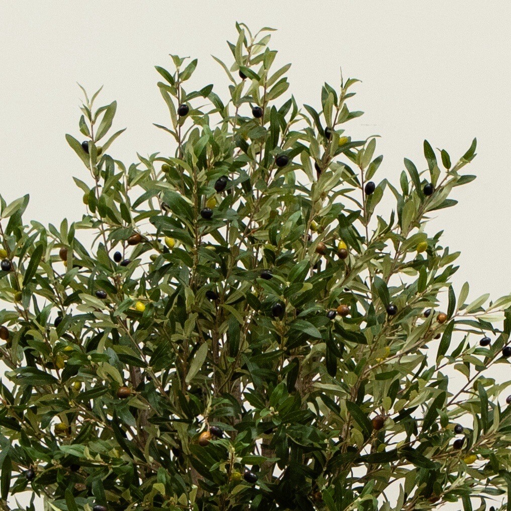 6Ft Artificial Giant Olive Tree w/3864 Branches Home Decor. Retail $729