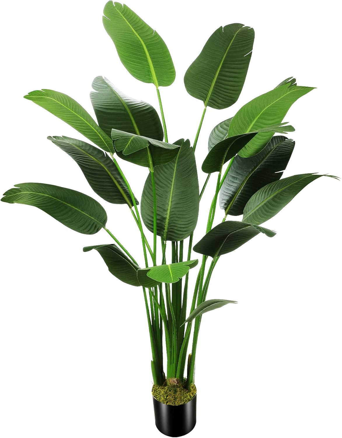 6.5Ft Artificial Bird of Paradise Palm Tree for Home & Office Decor