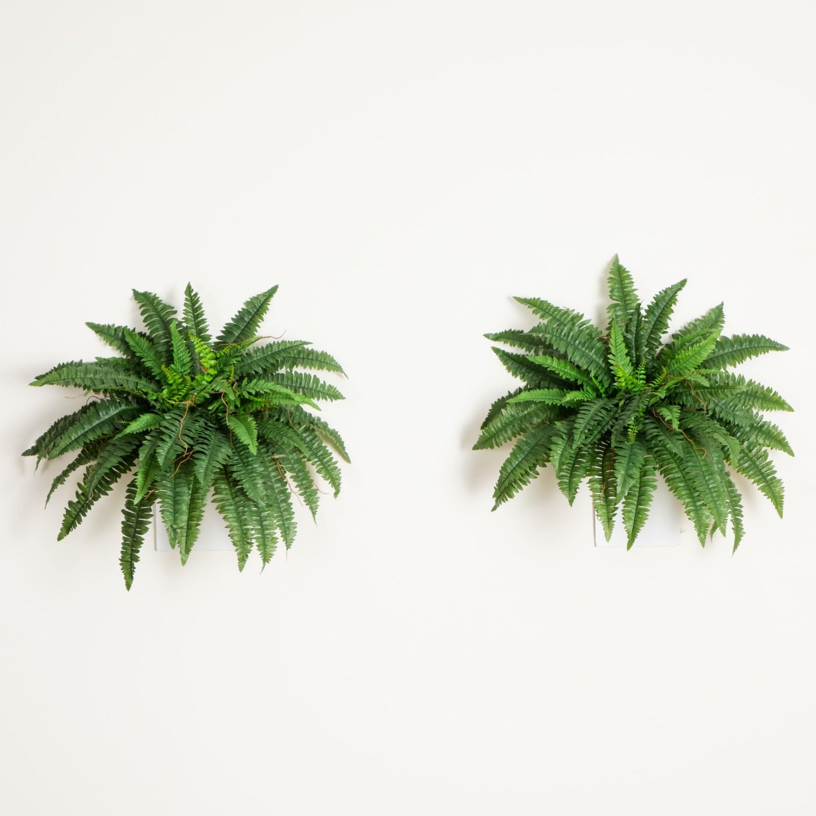 Large 40″ Boston Fern Artificial Plant – Realistic Hanging Faux Ferns, Set of 2