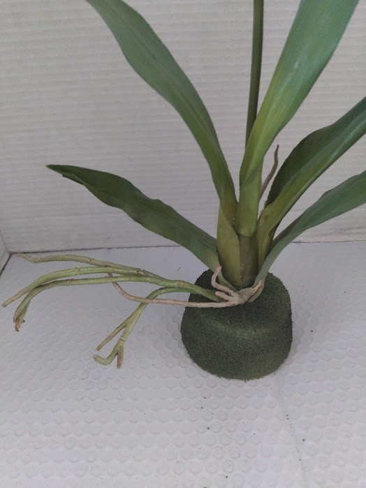 ARTIFICIAL miltoniopsis orchid plant