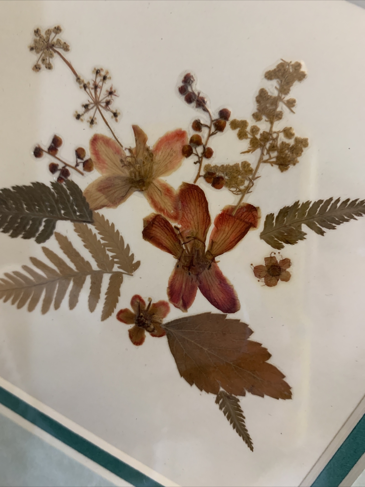 Dried Pressed Flowers Wall Hanging Art Floral Handmade Vintage Framed 9” Square