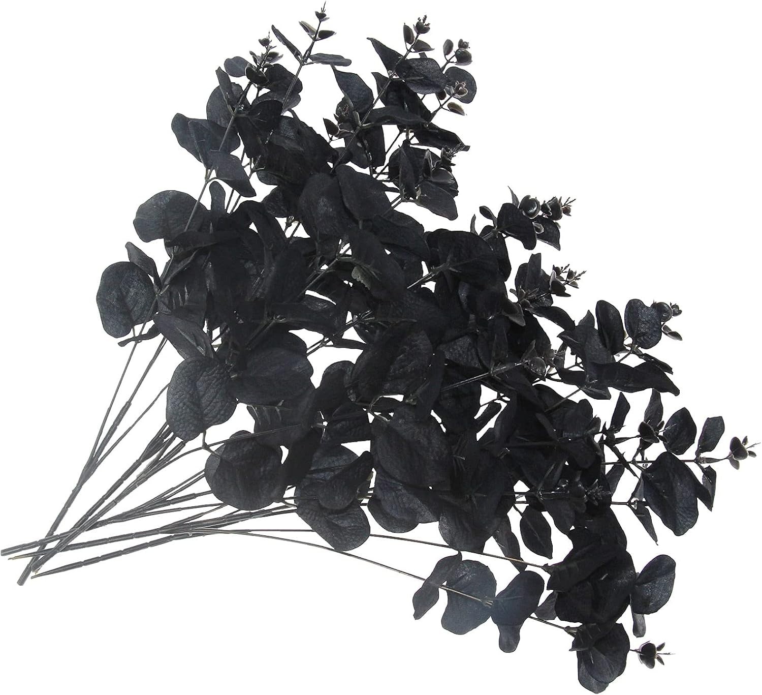 Stunning 5-Piece Black Eucalyptus Stems – Create Elegant Floral Arrangements