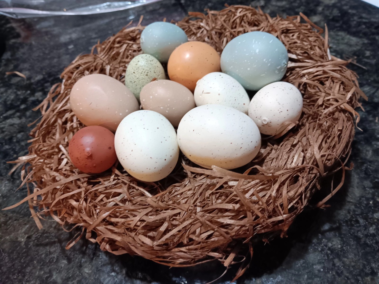 VTG Artificial Bird Nest w/ Speckled Eggs, Easter Spring Decor Rustic Farmhouse