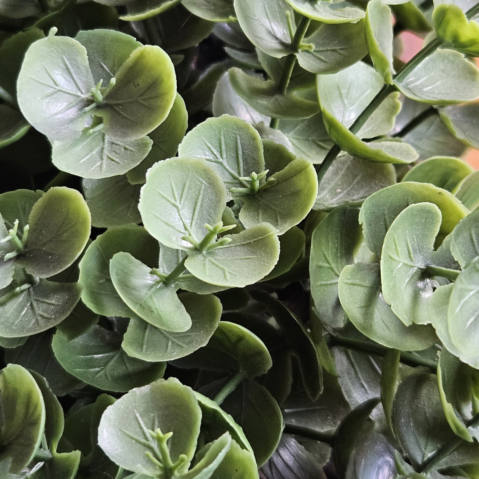 Faux Eucalyptus Boxwood with Cascading Leaves