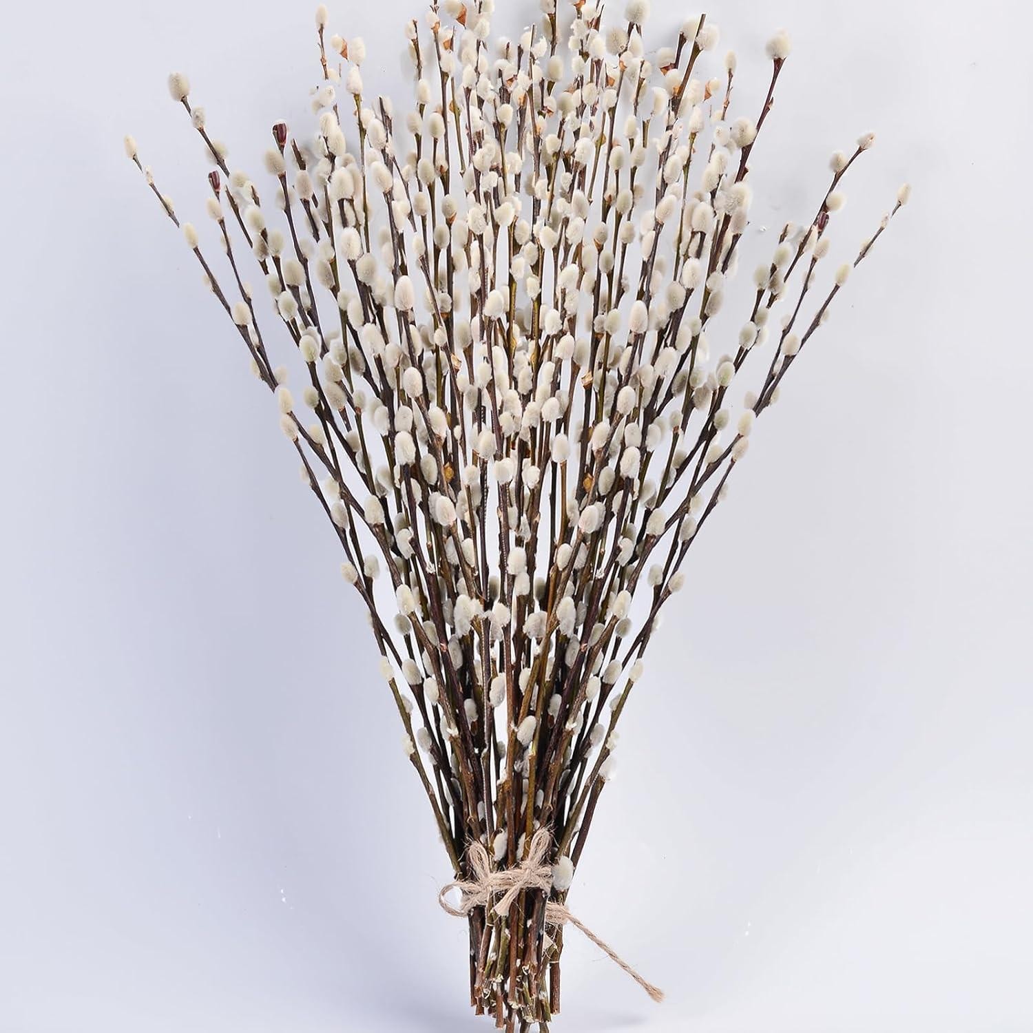 45 Stems 17＂real Dried Pussy Willow Branches for Vase，100% Natural Pussywillows