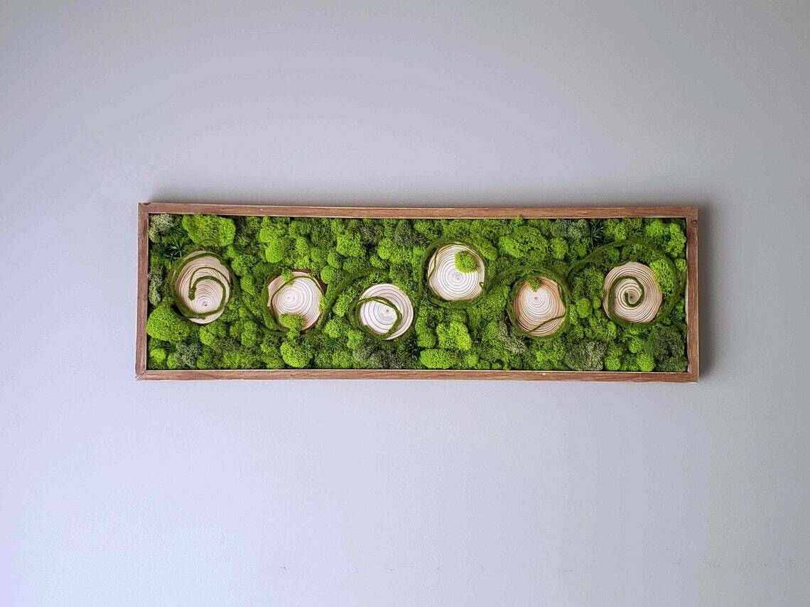 Moss Wall Art, Wood frame, Moss Art Work, Preserved Moss Art 32 inch * 10 inch