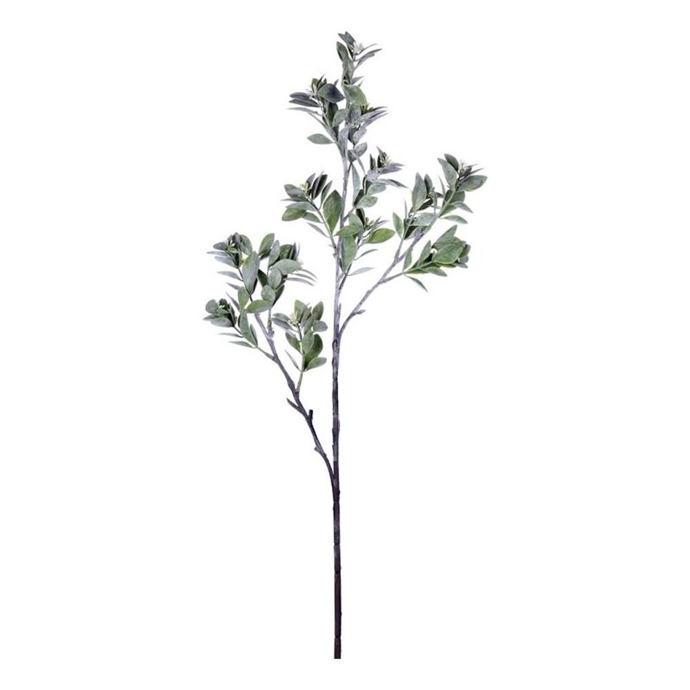 Vickerman 31″ Contemporary Plastic Artificial Aglaia Spray in Green (Set of 3)