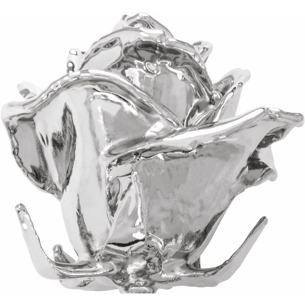 Platinum Hand-Plated Real Rose Valentine’s Day Holiday Gift